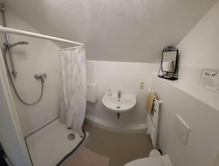 Blick Ueber Dresden - Terrasse - 3 Zimmer - Modern Renoviert Екстериор снимка